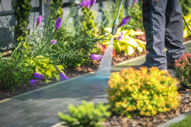 Best Patio and Deck Pressure Washing  in Bling, AR