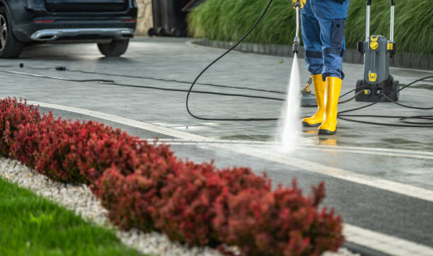Best Pool Deck Cleaning  in Bling, AR